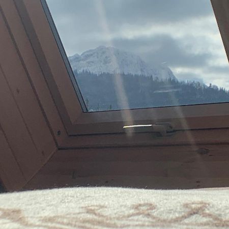 Ski Tour Apartments Zakopane Ngoại thất bức ảnh